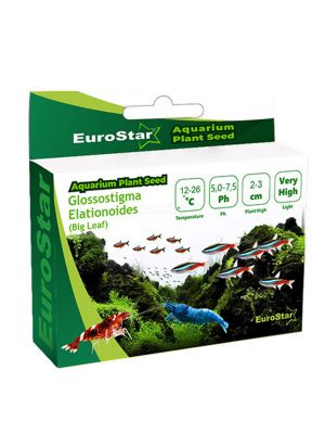 EuroStar Bitki Tohum Glossostigma Elatinoides