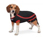 Kong Köpek Anksiyete Giderici Sakinleştirici Elbise XXS