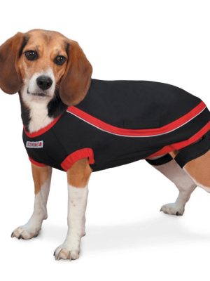 Kong Köpek Anksiyete Giderici Elbise S