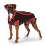 Kong Köpek Anksiyete Giderici Elbise XXL - Görsel 3