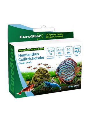 EuroStar Bitki Tohumu Hemianthus Callitrichoides