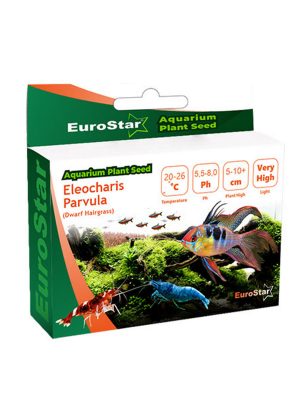 EuroStar Bitki Tohumu Eleocharis Parvula