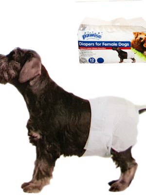 Pawise Köpek Alt Bağlama Bezi L Boy 12 Adet