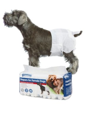 Pawise Köpek Alt Bağlama Bezi XL Boy 12 Adet