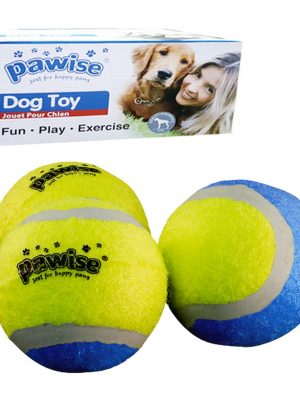 Pawise Tenis Topu 24 Adet Karton Kutulu