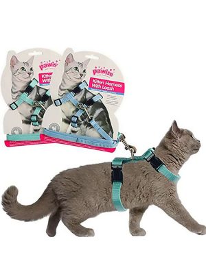 Pawise Kedi Göğüs T.(14.5-2518-30Cm) Yeşil-Mavi S