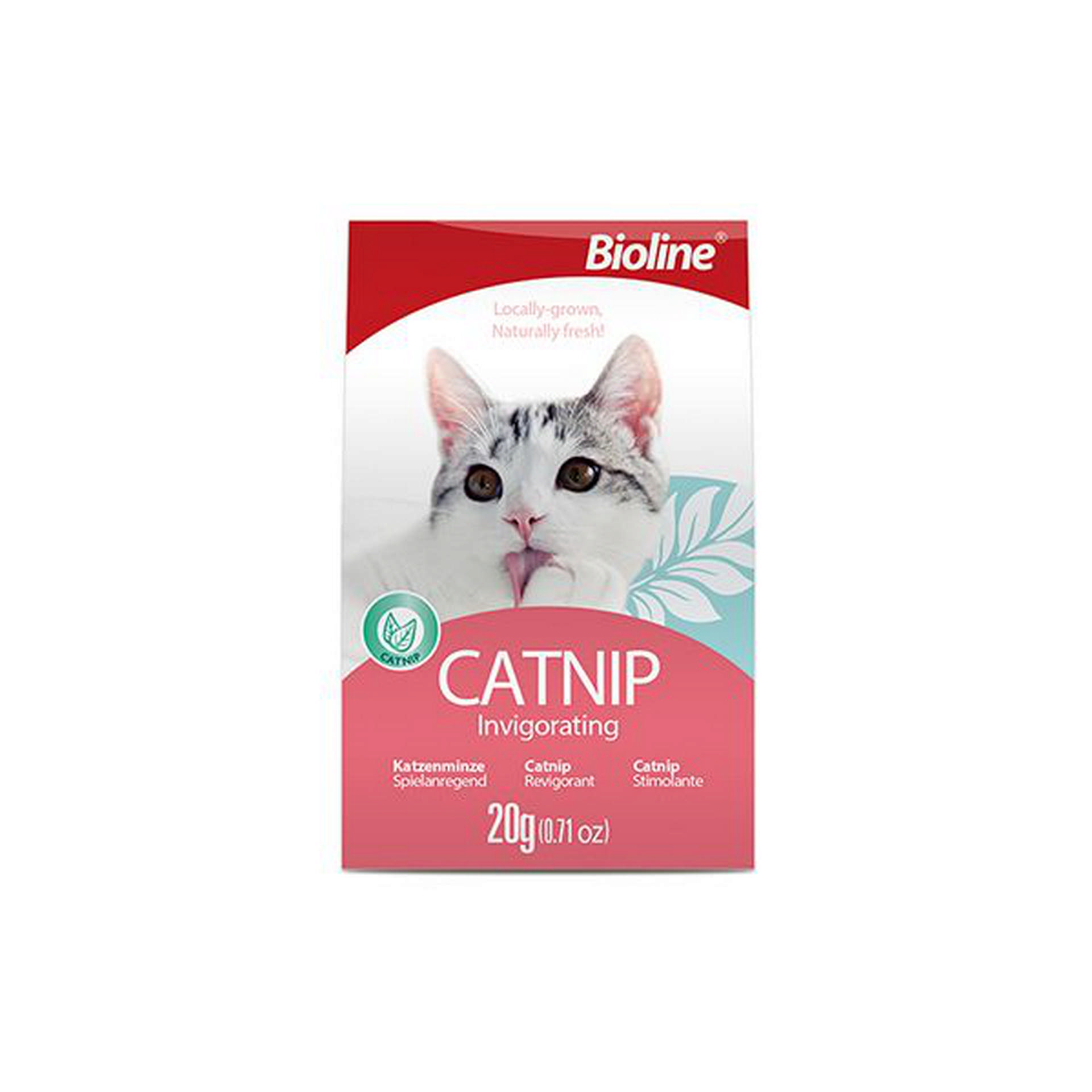 1048932_681-2037.jpg Bioline Catnip 20 Gr - Görsel 1