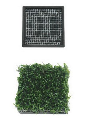 Ista Bitki Taban Seramik 5 cm Kare