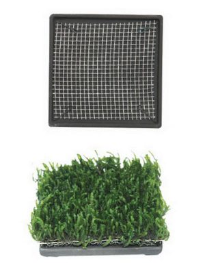 Ista Bitki Taban Seramik 6,5 cm Kare