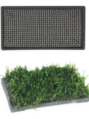 Ista Bitki Taban Seramik 5x10 cm cm Dikdörtgen