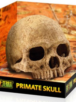 Exo Terra Kafa Tası Şekilli Sürüngen Yuvası