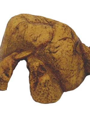 Exo Terra Sürüngen Mağarası (XL)