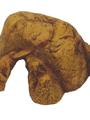 Exo Terra Sürüngen Mağarası (XXL)