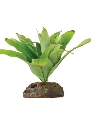 Exo Terra Teraryum İçin Plastik Bitki