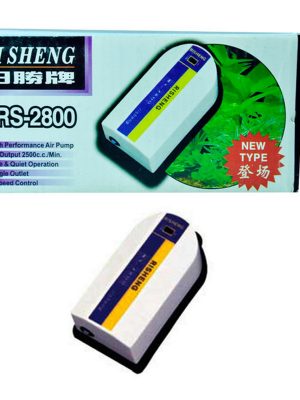 RS Hava Motoru Tek Çıkışlı 2,5 Ldk 3 W.