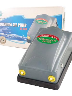 RS Hava Motoru Çift Çıkışlı 3,5 Ltmin 5w