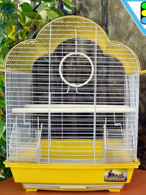 Kafes Renkli 43x28x34,5