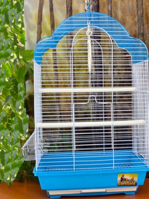 Kafes Renkli 34,5x28x54,5