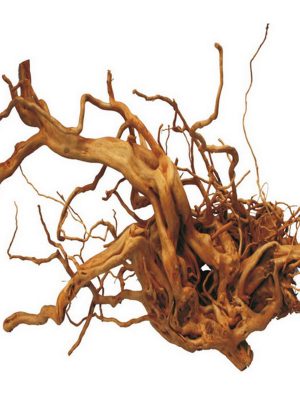 Çöl Kütüğü (Bağ)