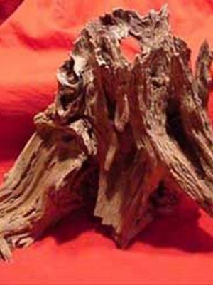 Mangrove Akvaryum Kütüğü L (10 Ad.)