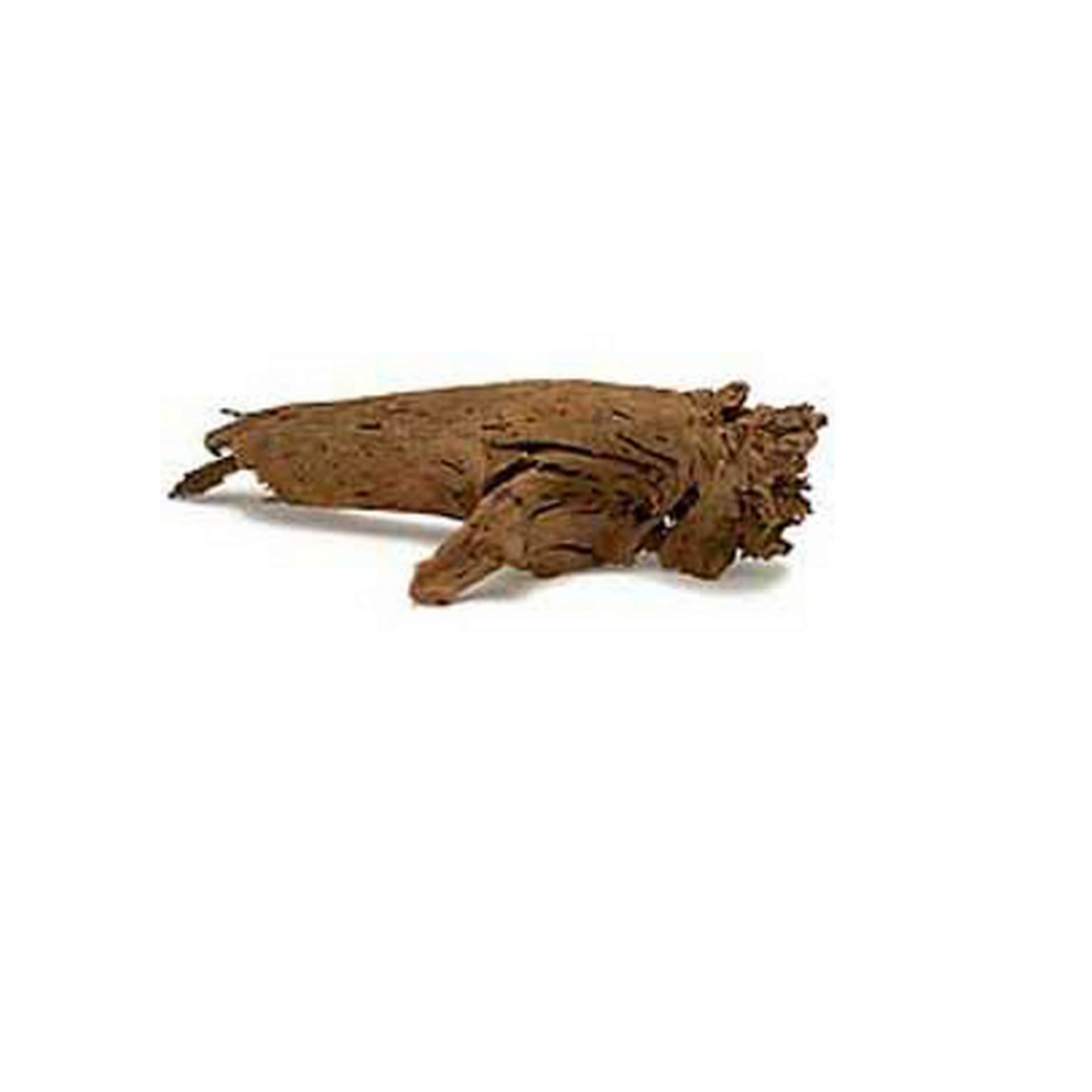 1049543_990-K0000S.jpg Mangrove Akvaryum Kütüğü SM (35 Ad.) - Görsel 1