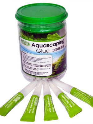 Ista Bitki Yapıştırıcı 25'Li