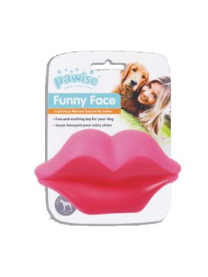 Pawise Vinyl Toy-Lip Köpek Oyuncağı