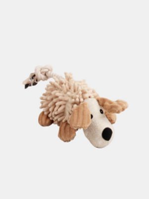Pawise Dog Molar Toy- Dog Köpek Oyuncağı