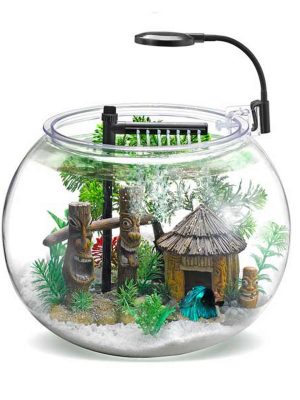 Nubios Masasüstü Beta Seti 12 L Faunus