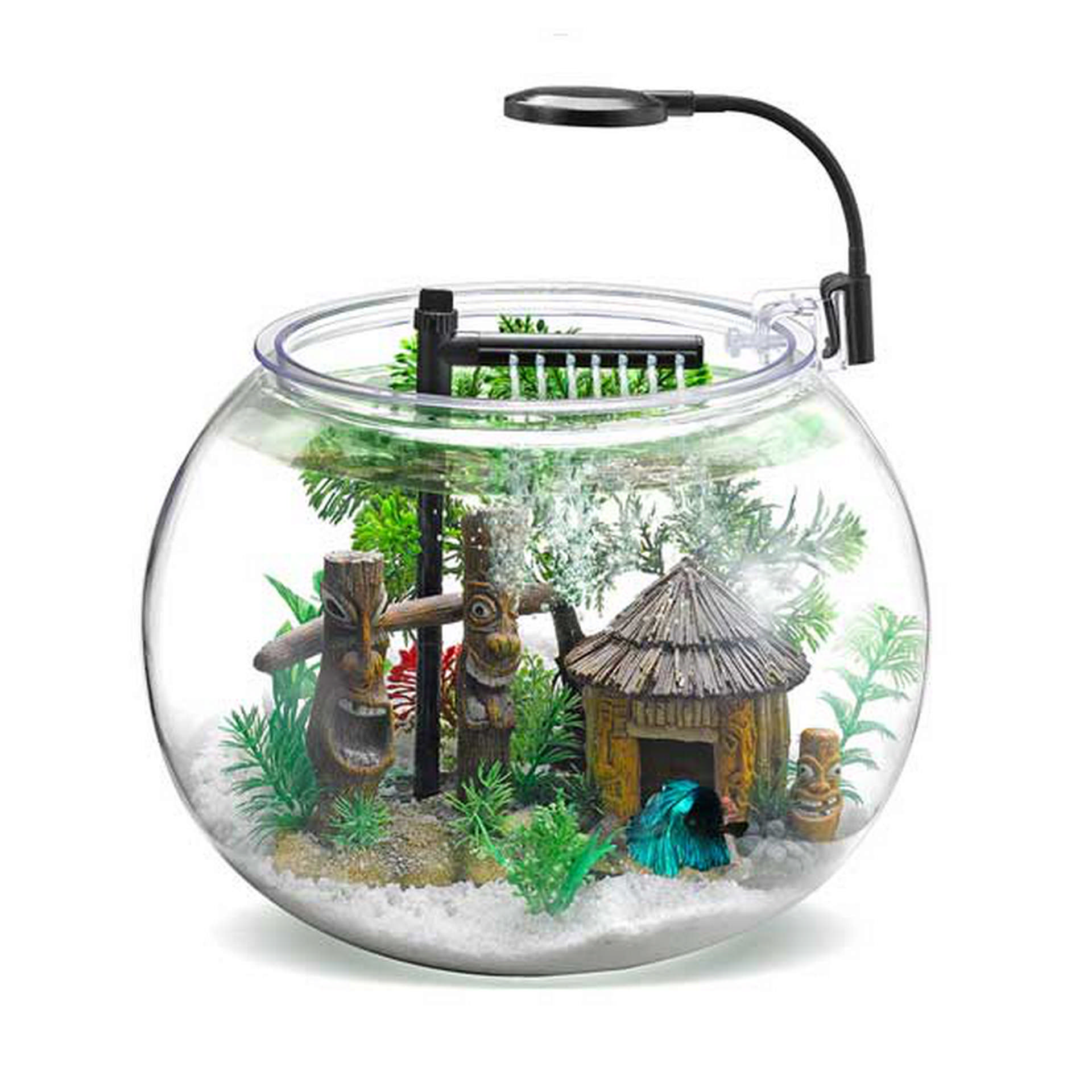 1085635_670-BS-02A.jpg Nubios Masasüstü Beta Seti 12 L Faunus - Görsel 1