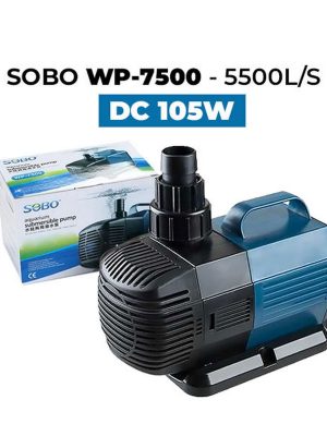 Sobo Sump Pompası 105W 5500 LtH 5 M