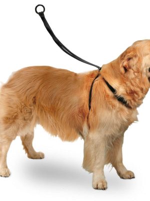 Karlıe Easy Walker Göğüs Tasma 40*58 Cm Large