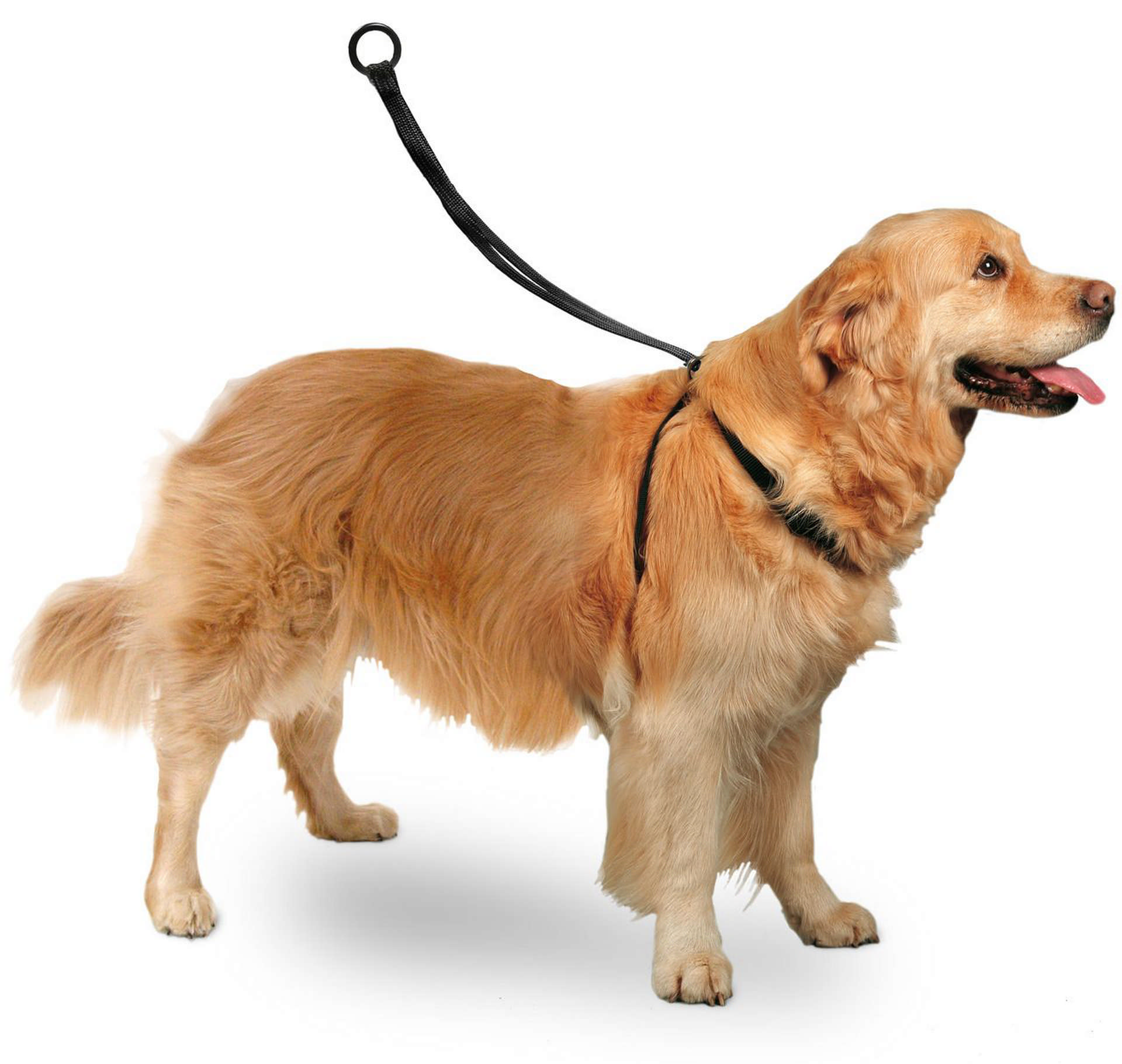 1108717_82528571.jpg Karlıe Easy Walker Göğüs Tasma 40*58 Cm Large - Görsel 1