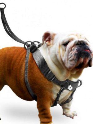 Karlıe Easy Walker Göğüs Tasma 52*84 Cm Xlarge