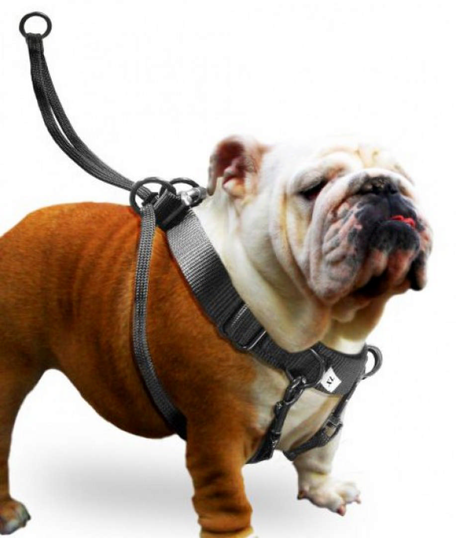 1108720_83509574.jpg Karlıe Easy Walker Göğüs Tasma 52*84 Cm Xlarge - Görsel 1