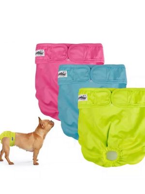 Pawise Tekrar Kullanılabilir Köpek Külodu XS 3Adet