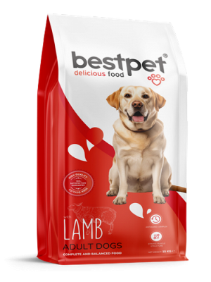 Bestpet 15 kg Yetişkin Köpekler İçin Kuzu Etli Kuru Mama