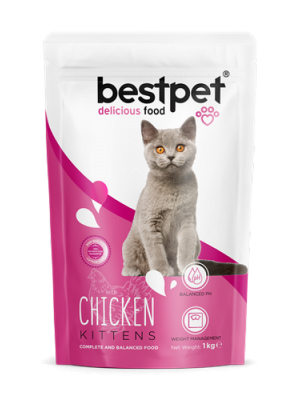 Bestpet 1 kg X 10 ADET  Yavru Kediler İçin, Tavuk Etli Ve Pirinçli Kuru Mama