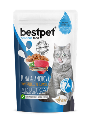Bestpet 85 gr X 24 ADET Yetişkin Kediler İçin, Tahılsız, Jöle İçinde Tuna Ve Hamsi Parça Etli Yaş Mama