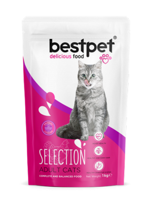 Bestpet 1 kg X 10 ADET Yetişkin Seçici Kediler İçin Tavuk Etli Kuru Mama