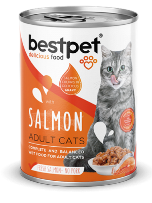 Bestpet 400 gr X 12 ADET  Yetişkin Kediler İçin, Taze Somon Parça Etli Ve Soslu Yaş Mama