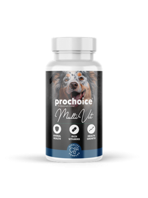 Prochoice 60 Tablet X 12 ADET Köpekler İçin Multivitamin