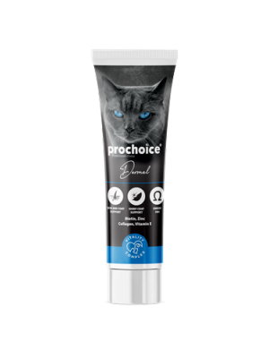 Prochoice 100 ml X 12 ADET Dermal Pasta Kediler İçin Cilt - Tüy Bakımı Gıda Takviyesi