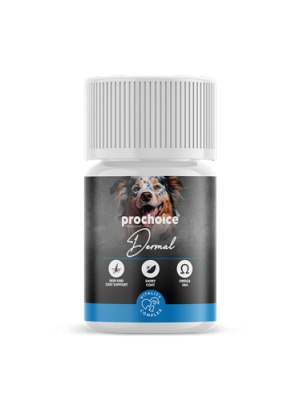 Prochoice75 Tablet X 12 ADET Köpekler İçin Cilt - Tüy Bakımı Gıda Takviyesi
