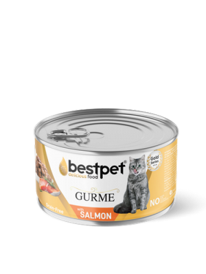 Bestpet 85 gr X 24 ADET Yetişkin Kediler İçin Tahılsız, Jöle İçinde Somon Balıklı Yaş Mama