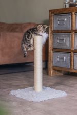 Beeztees Kedi Tırmalama ve Oyuncağı, Gri, 35x35x53cm - Görsel 2