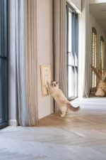 Beeztees DBL Kedi Tırmalama Tahtası, 50x40x2cm - Görsel 2