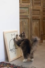 Beeztees DBL Kedi Tırmalama Tahtası, 50x40x2cm - Görsel 3