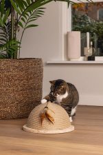 Beeztees DBL Kedi Tırmalama ve Oyuncağı, 34,5x34,5x18cm - Görsel 2