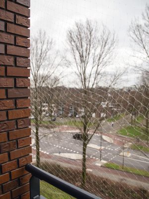 Beeztees Kedi Pencere veya Balkon Koruma Filesi, Şeffaf, 6x3m